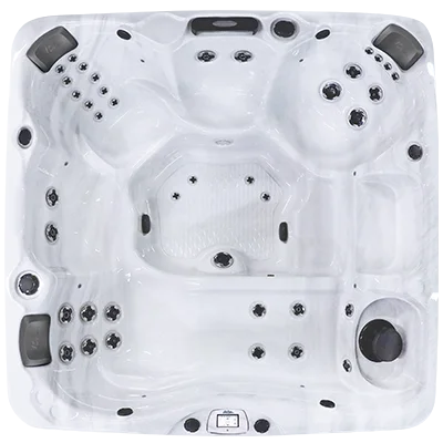 Avalon-X EC-840LX hot tubs for sale in Jacksonville